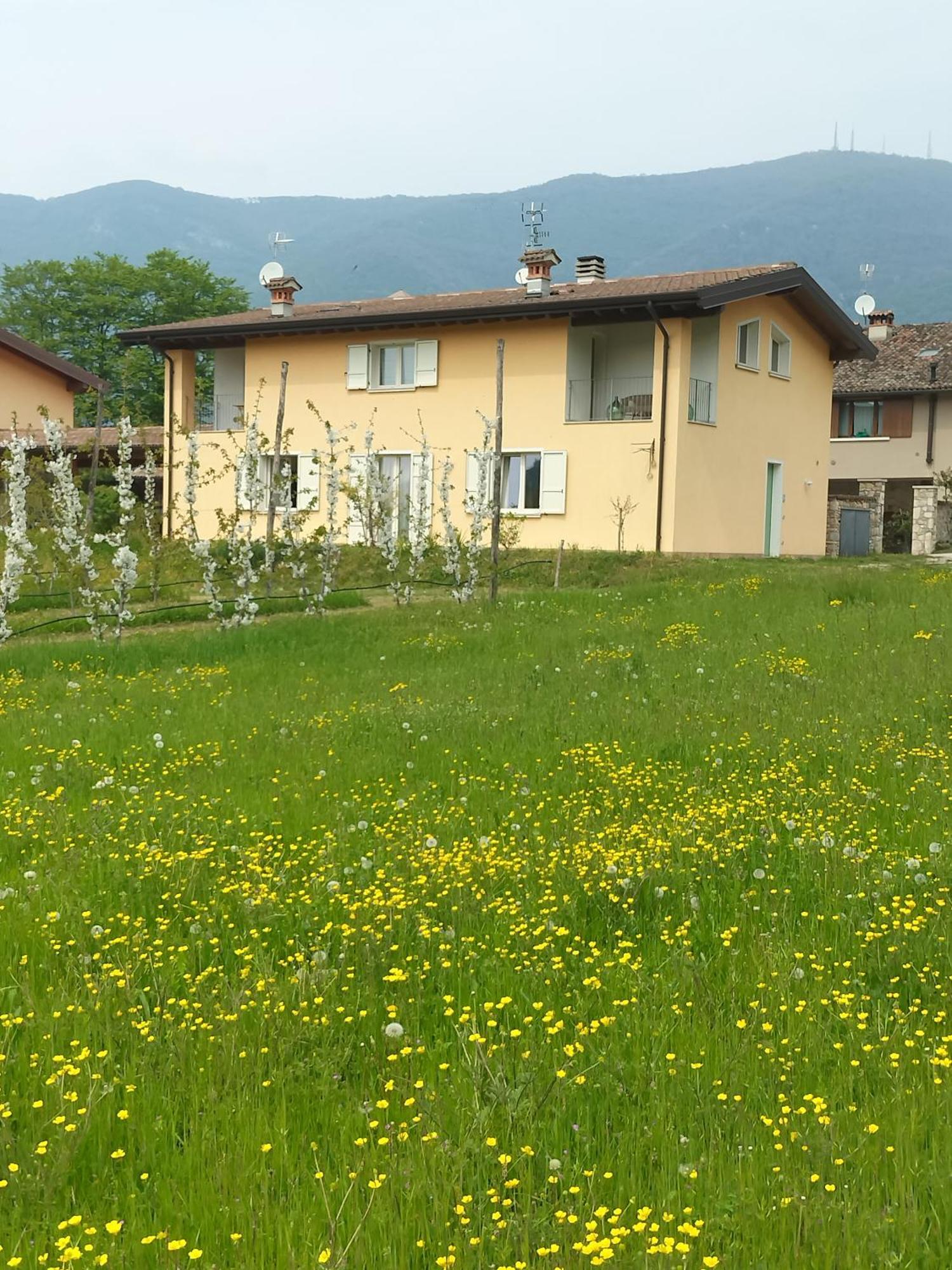 Cascina Legnago Bilocale A 6 Chilometri Da Salo' Appartement Villanuova sul clisi Buitenkant foto