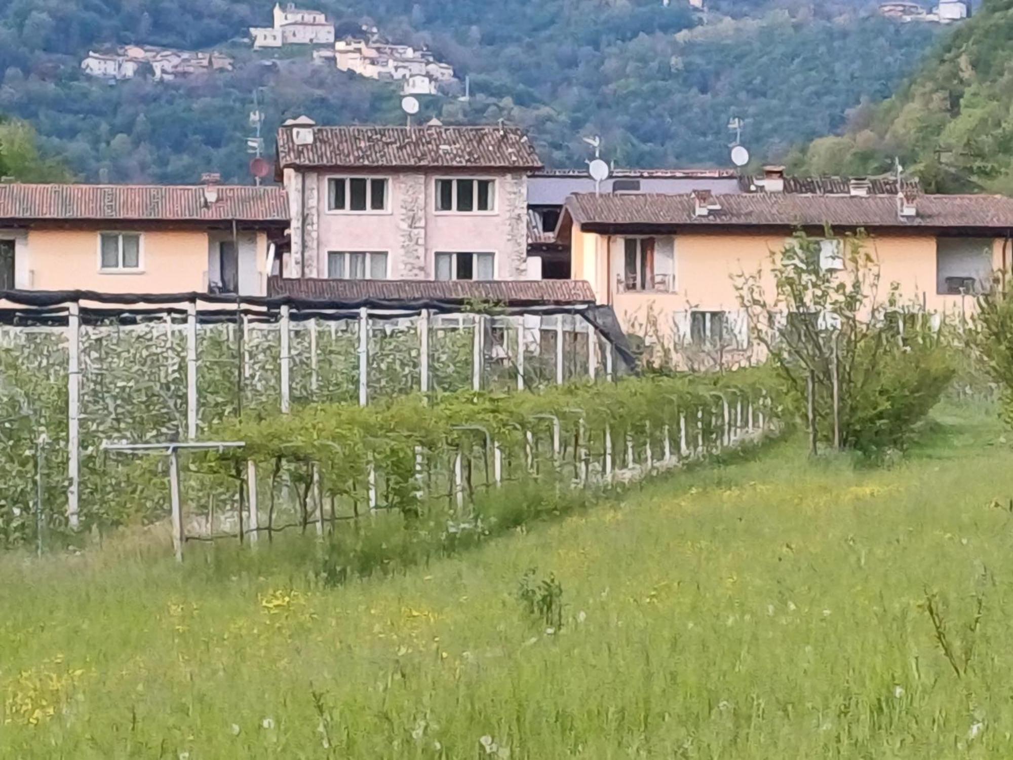 Cascina Legnago Bilocale A 6 Chilometri Da Salo' Appartement Villanuova sul clisi Buitenkant foto