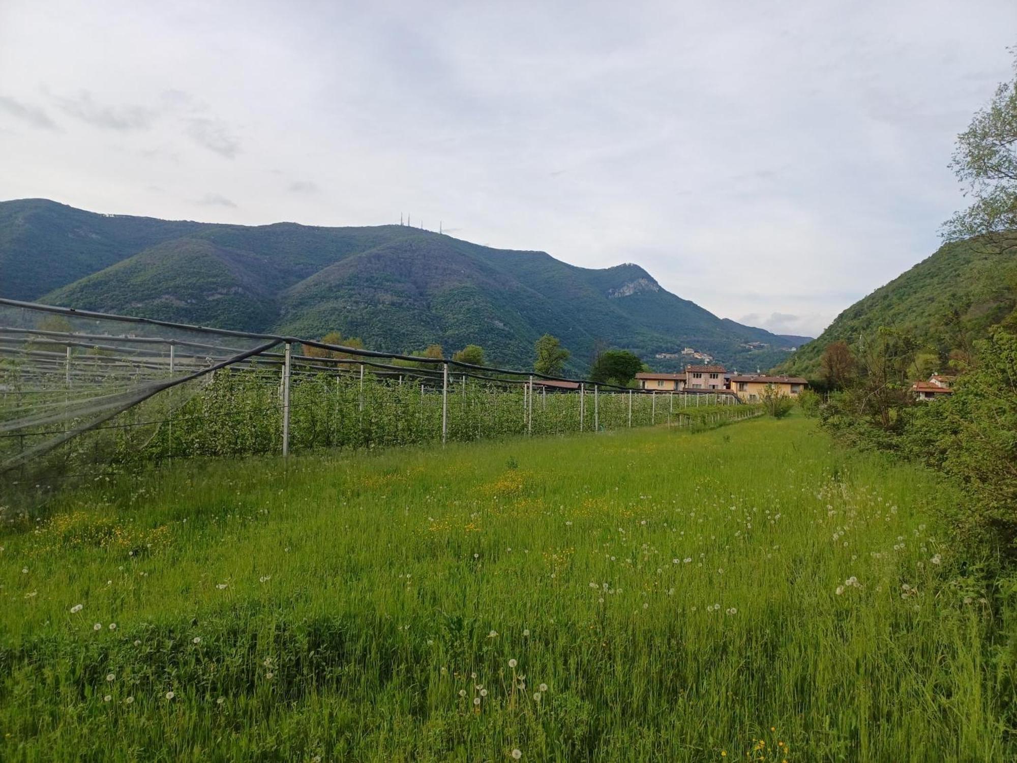 Cascina Legnago Bilocale A 6 Chilometri Da Salo' Appartement Villanuova sul clisi Buitenkant foto