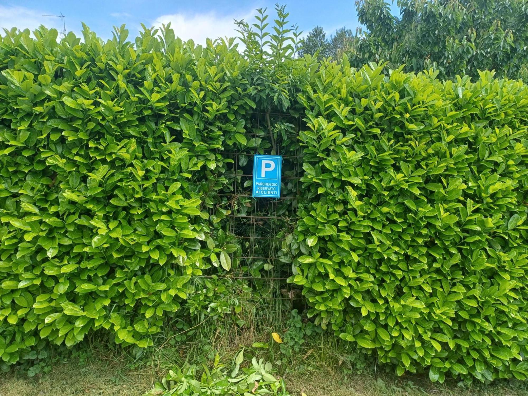 Cascina Legnago Bilocale A 6 Chilometri Da Salo' Appartement Villanuova sul clisi Buitenkant foto