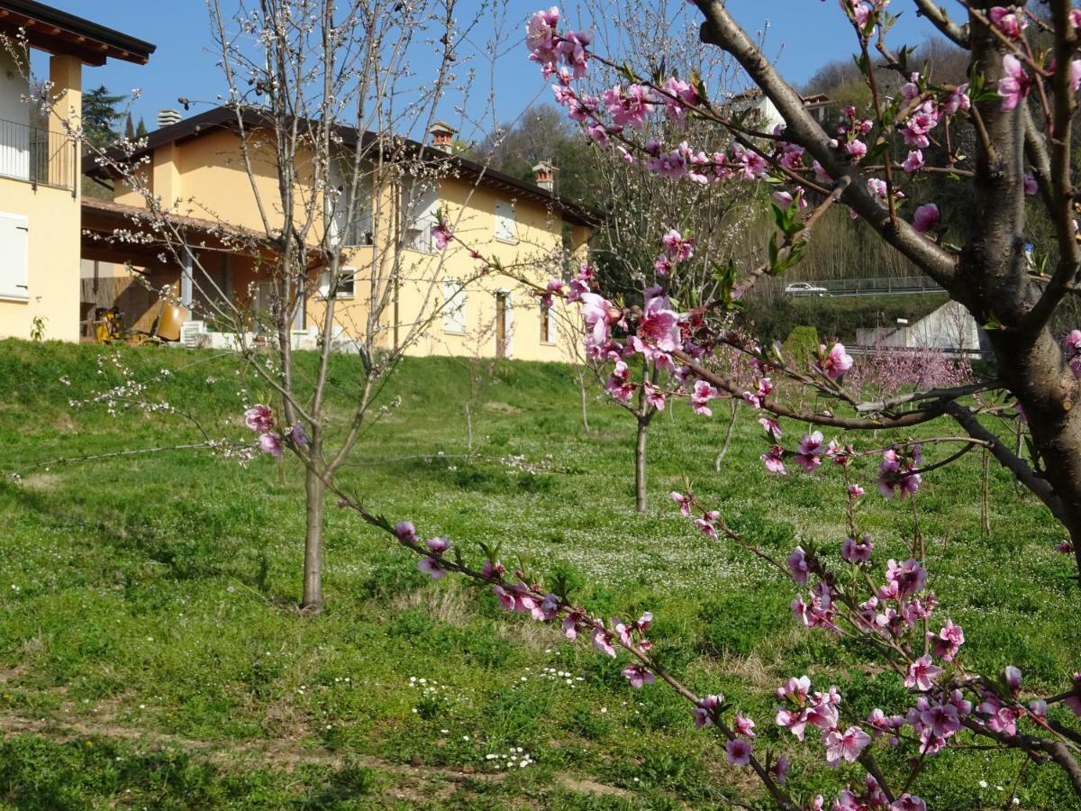 Cascina Legnago Bilocale A 6 Chilometri Da Salo' Appartement Villanuova sul clisi Buitenkant foto